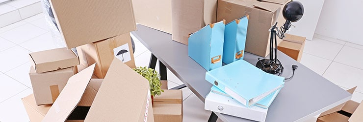 verhuizing in Gelderland